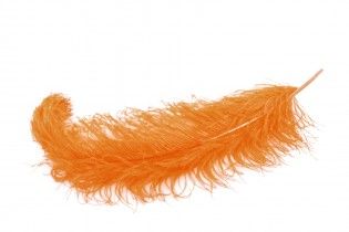 Fotolia_23875087_M